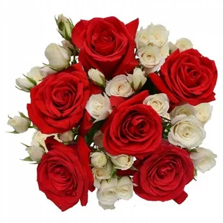 Buquê De Rosas X