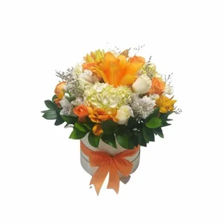 Caixa Box Elegante
