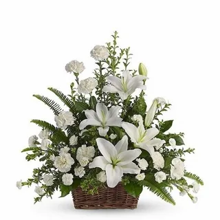 Cesta De Flores Brancas Campos Brilhantes
