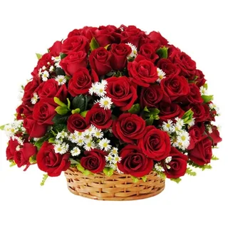 Cesta De Rosas Vermelhas Explosão