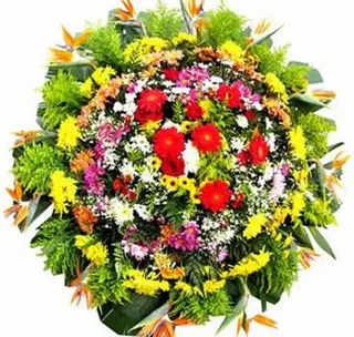 Coroa De Flores Felicidade Do Campo