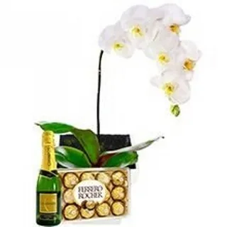 Orquídea Com Chocolate E Chandon