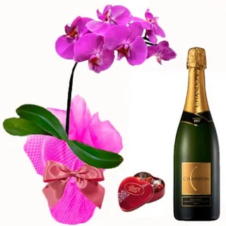 Orquídea Phalaenopis Lilás + Chandon + Coração Lindt