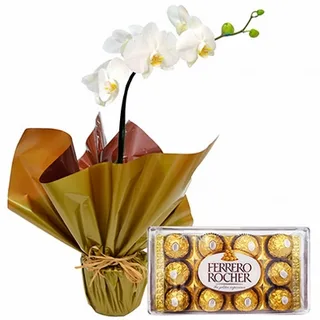 Orquidea Phalaenopsis Branca Com Ferrero.