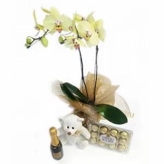 Orquídeas Yellow 3