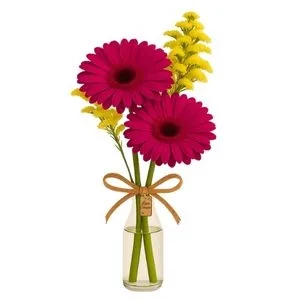 Mimo de Gérbera Rosa