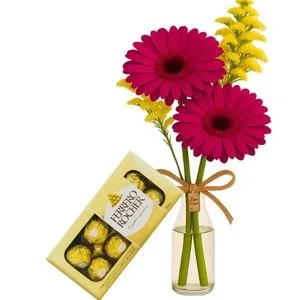 Mimo de Gérberas Rosa com Chocolate