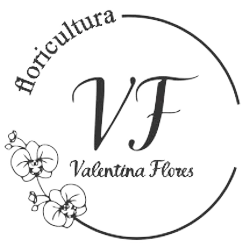 Logo da vitrine Valentina Flores