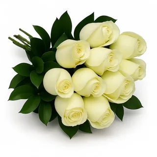 10 Rosas Brancas