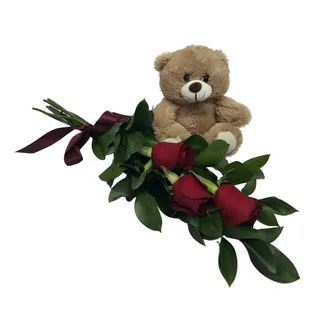 3 Rosas Vermelhas com Pelúcia