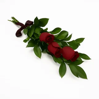 3 Rosas Vermelhas