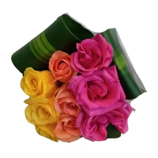 Arco-íris de Rosas