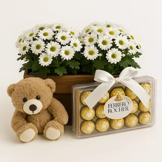 Arranjo com 2 Mini Margaridas Brancas, Ferrero Rocher e Pelúcia