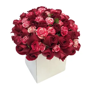 Arranjo com 36 Rosas Rosadas e Vermelhas no Cachepô