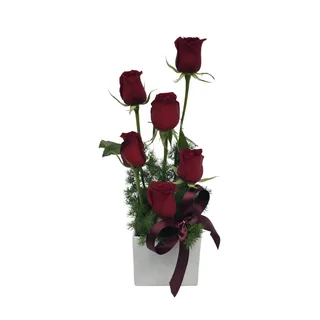 Arranjo com 6 Rosas Vermelhas no Cachepô