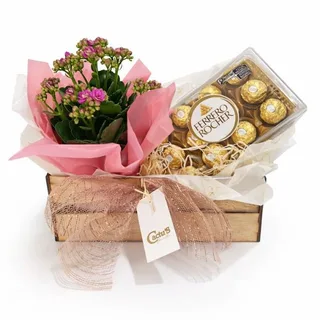 Caixa Presente com Kalanchoe Rosa e Ferrero Rocher