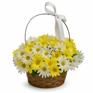 Cesta com Margaridas Amarelas e Brancas