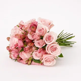 Encanto Rosado