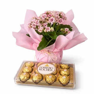 Kalanchoe Rosa com Ferrero Rocher 150g