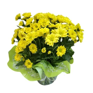 Mini Margarida Amarela: Simplicidade e Beleza