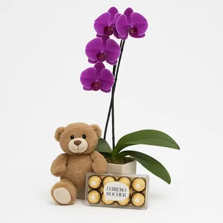 Orquídea Pink com Ferrero Rocher e Pelúcia