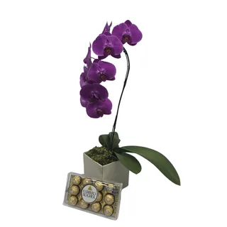 Orquídea Pink com Ferrero Rocher no Cachepô