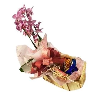 Cesta de Chocolate com Orquídea