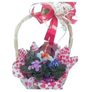 Cesta Doce Primavera