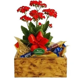 Flor da Fortuna com Bombons