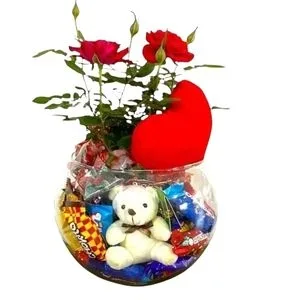 Kit de Chocolates, Flores e Pelúcia no Vaso Aquário