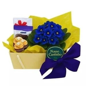 Mimo de Violeta com Chocolates