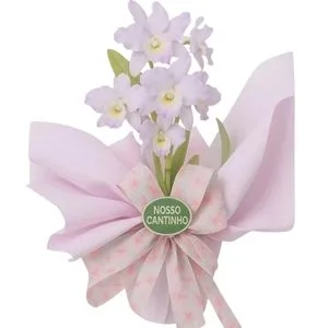 Orquídea Denphales Lilás