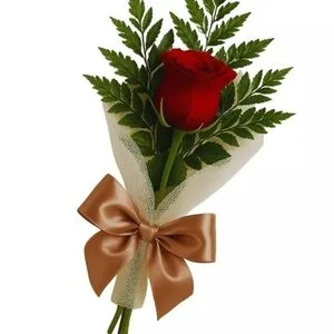 Rosa Solitária Vermelha
