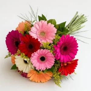 Arco-Íris Floral