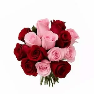 Buquê 15 Rosas Vermelhas e Rosas