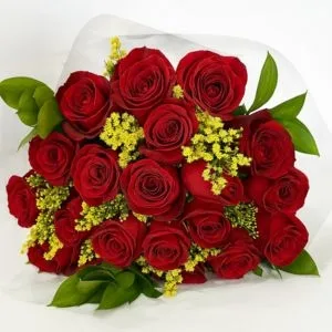 Buquê de Vinte Rosas Vermelhas
