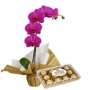 Orquídea Pink e Ferrero Rocher