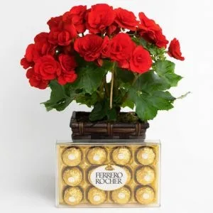 Begônia Vermelha com Ferrero Rocher