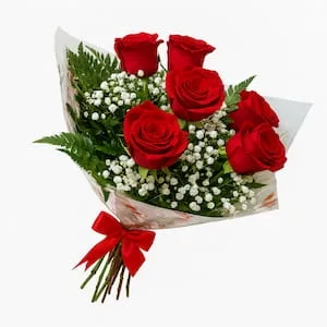 Buquê com 6 Rosas Vermelhas e Mosquitinho