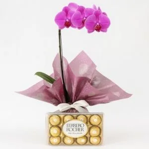 Orquídea Phalaenopsis Rosa com Bombons Ferrero Rocher
