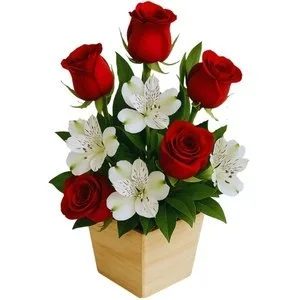 Arranjo de Rosas Vermelha com Astromélia