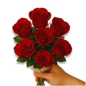 Buquê de 7 Rosas Vermelha