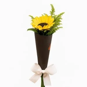 Arranjo de Girassol – Raio de Sol