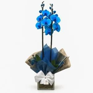 Arranjo de Orquídeas – Elegância Floral
