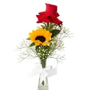 Arranjo Tubo de Vidro com Girassol e Rosa – Puro Charme