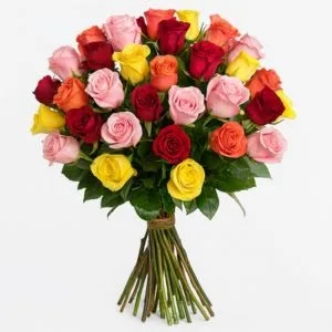 Buquê com 36 Rosas Coloridas