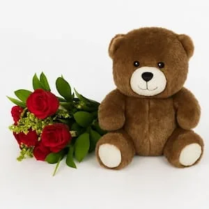 Buquê de 6 Rosas Vermelhas e Pelúcia