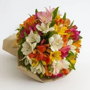 Buquê de Astromélias – Primavera Perene