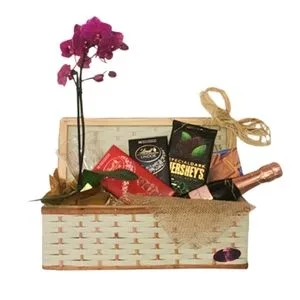 Cesta de Chocolates com Flores- Importada Sedução
