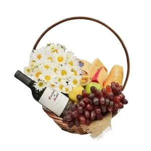 Cesta de Vinho – Delicado Momento